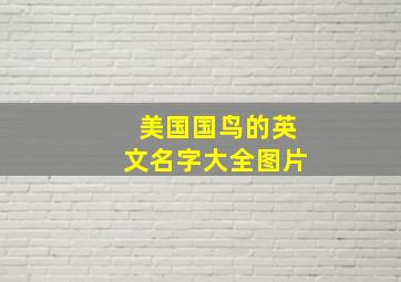 美国国鸟的英文名字大全图片