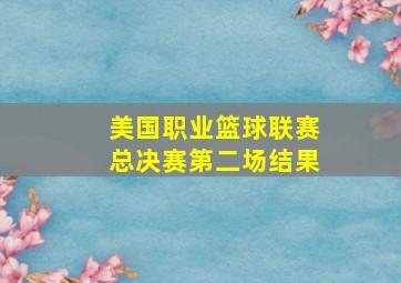 美国职业篮球联赛总决赛第二场结果