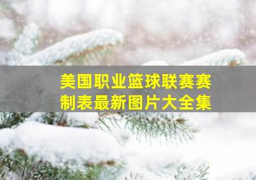 美国职业篮球联赛赛制表最新图片大全集