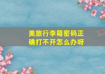 美旅行李箱密码正确打不开怎么办呀