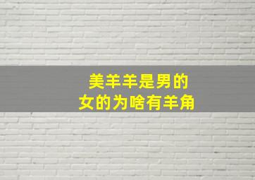 美羊羊是男的女的为啥有羊角