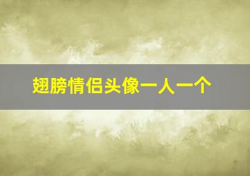 翅膀情侣头像一人一个