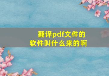 翻译pdf文件的软件叫什么来的啊