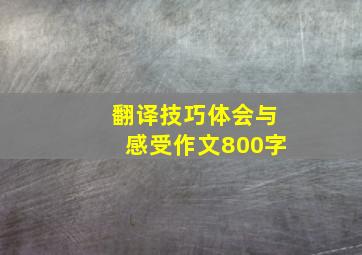 翻译技巧体会与感受作文800字