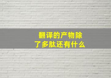 翻译的产物除了多肽还有什么