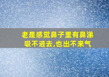 老是感觉鼻子里有鼻涕吸不进去,也出不来气