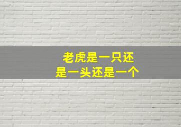 老虎是一只还是一头还是一个