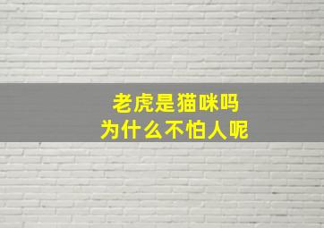 老虎是猫咪吗为什么不怕人呢