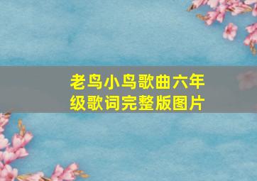 老鸟小鸟歌曲六年级歌词完整版图片