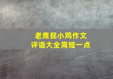 老鹰捉小鸡作文评语大全简短一点