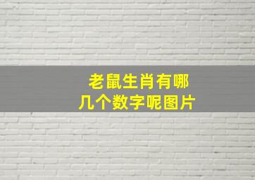 老鼠生肖有哪几个数字呢图片