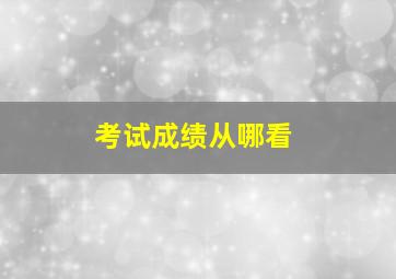 考试成绩从哪看