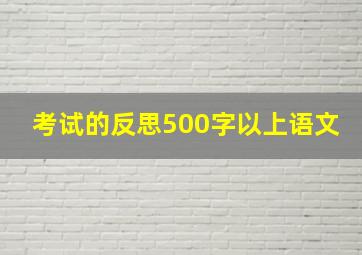 考试的反思500字以上语文