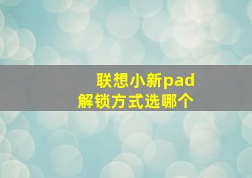 联想小新pad解锁方式选哪个