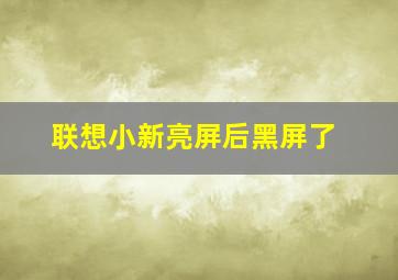 联想小新亮屏后黑屏了