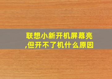 联想小新开机屏幕亮,但开不了机什么原因