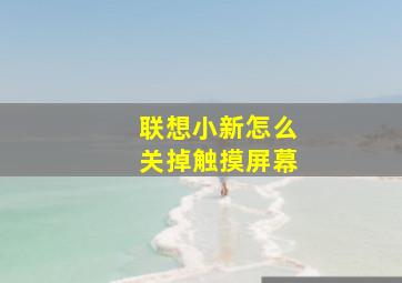 联想小新怎么关掉触摸屏幕