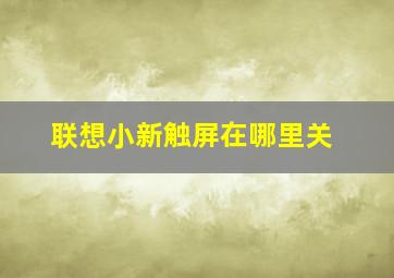 联想小新触屏在哪里关