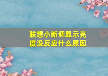 联想小新调显示亮度没反应什么原因