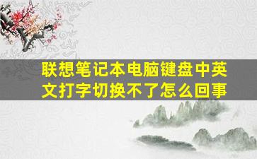 联想笔记本电脑键盘中英文打字切换不了怎么回事