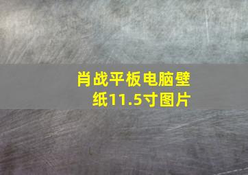 肖战平板电脑壁纸11.5寸图片