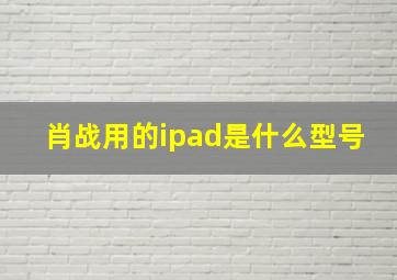 肖战用的ipad是什么型号