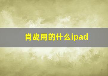 肖战用的什么ipad