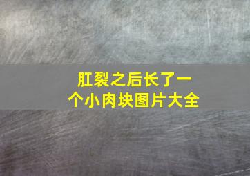 肛裂之后长了一个小肉块图片大全