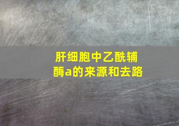 肝细胞中乙酰辅酶a的来源和去路