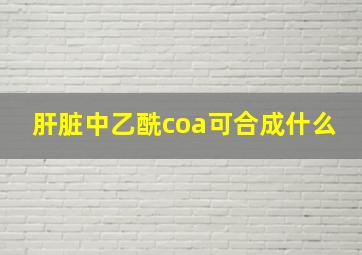 肝脏中乙酰coa可合成什么