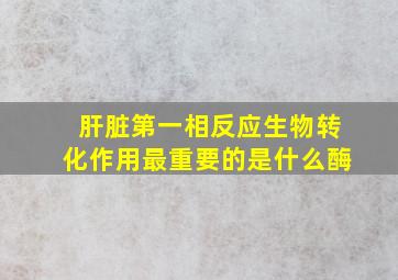 肝脏第一相反应生物转化作用最重要的是什么酶