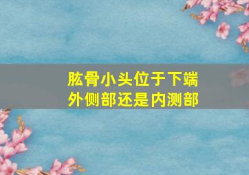 肱骨小头位于下端外侧部还是内测部