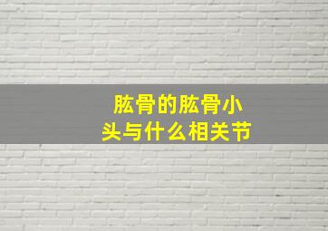 肱骨的肱骨小头与什么相关节