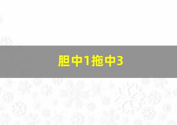 胆中1拖中3