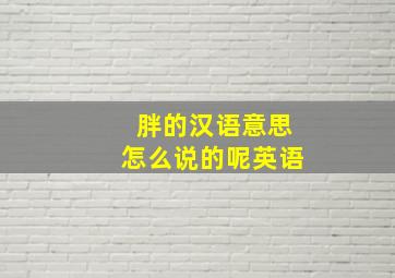 胖的汉语意思怎么说的呢英语