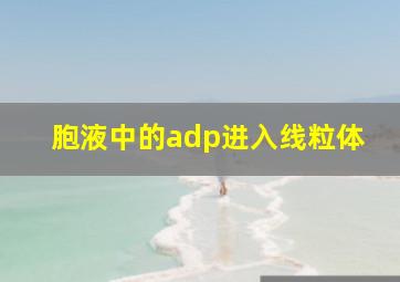 胞液中的adp进入线粒体