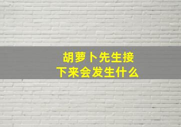 胡萝卜先生接下来会发生什么