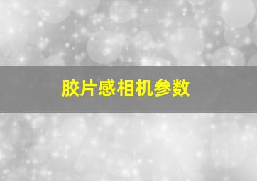 胶片感相机参数