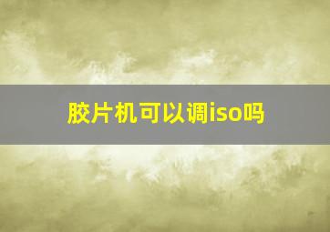 胶片机可以调iso吗