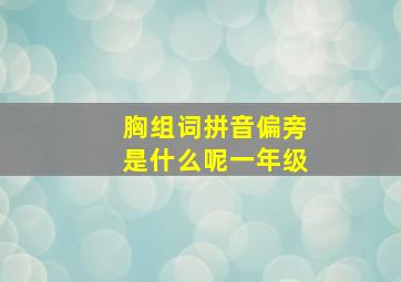 胸组词拼音偏旁是什么呢一年级