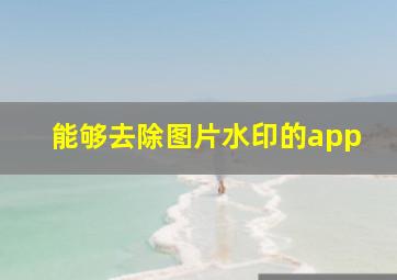 能够去除图片水印的app