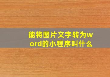 能将图片文字转为word的小程序叫什么