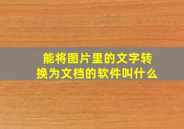 能将图片里的文字转换为文档的软件叫什么