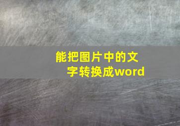 能把图片中的文字转换成word