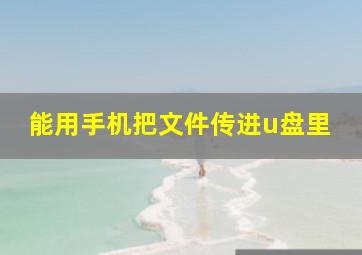 能用手机把文件传进u盘里