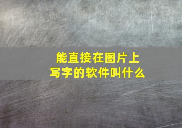 能直接在图片上写字的软件叫什么