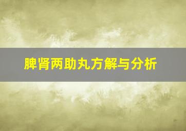 脾肾两助丸方解与分析