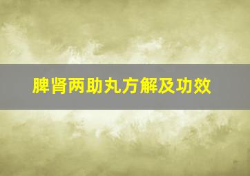 脾肾两助丸方解及功效