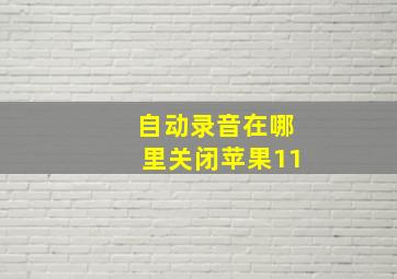 自动录音在哪里关闭苹果11