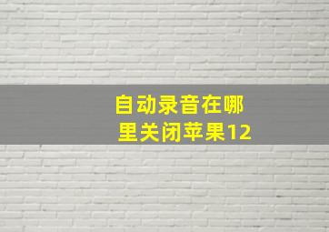 自动录音在哪里关闭苹果12